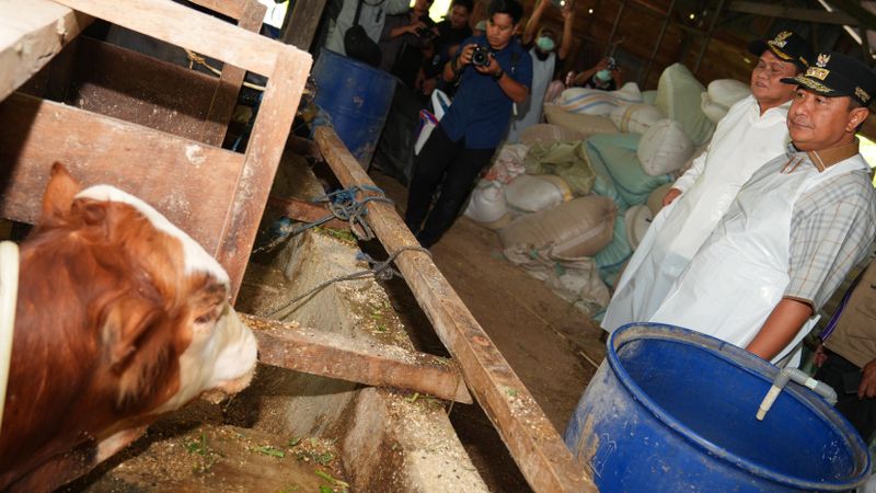 Pj Gubernur Sulsel Bahtiar Masyarakat Harus Ubah Cara Pikir Peternak