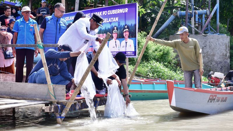 Momen Pj Gubernur Sulsel Bahtiar Sebar Jutaan Benih Ikan Di Danau Tempe