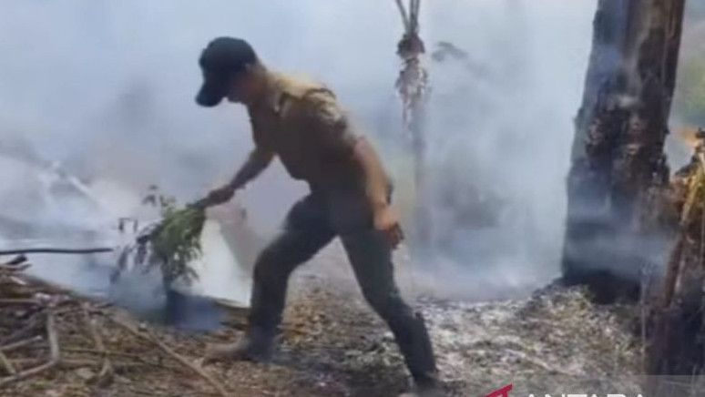 TNGGP Antisipasi Karhutla Selama Kemarau Pendaki Dilarang Bakar Sampah