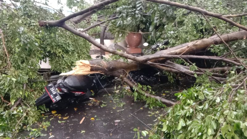 Angin Puting Beliung Landa Kota Bogor Papan Reklame Hingga Pohon