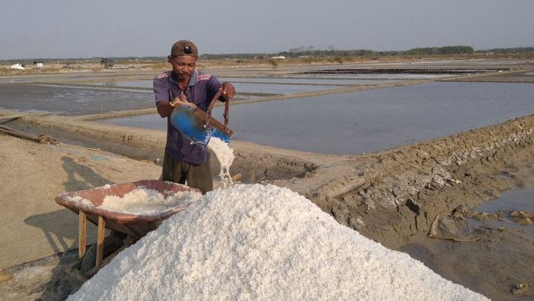 El Nino Tak Melulu Berdampak Merugikan, Produksi Petani Garam di Rembang Justru Meningkat