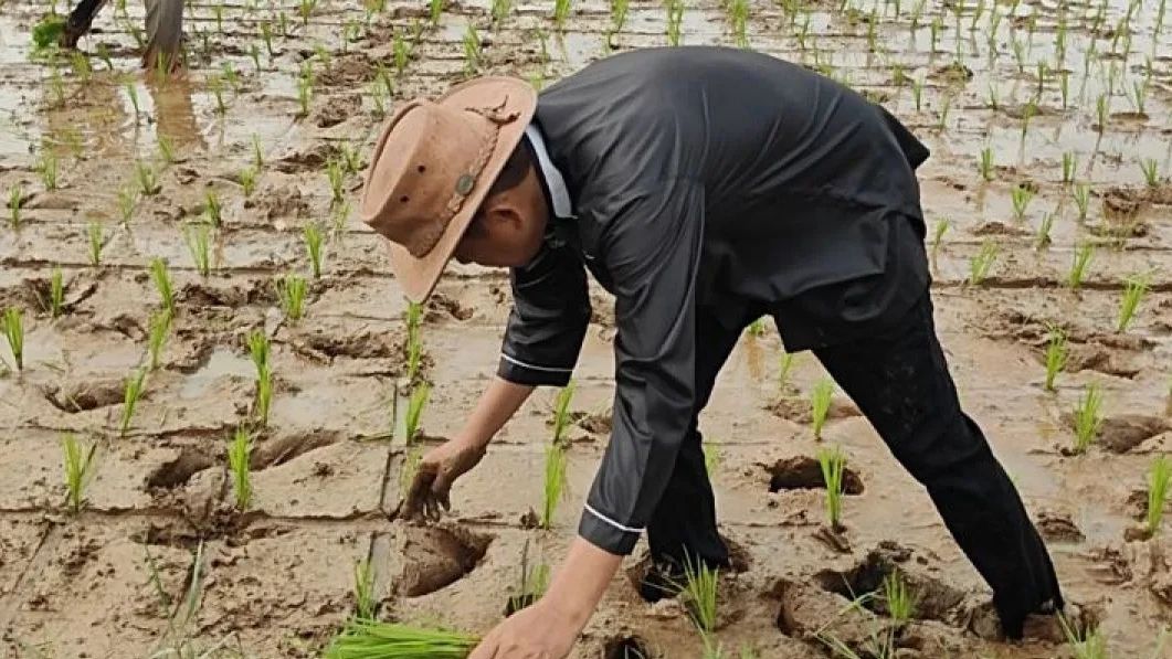 Dedi Mulyadi Langsung Bertani usai Dinyatakan Menang Pilkada Jabar Versi Hitung Cepat