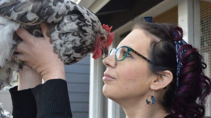 Wanita Bule Ini Rela Habiskan Uang Ratusan Juta untuk Operasi Ayam Kesayangannya