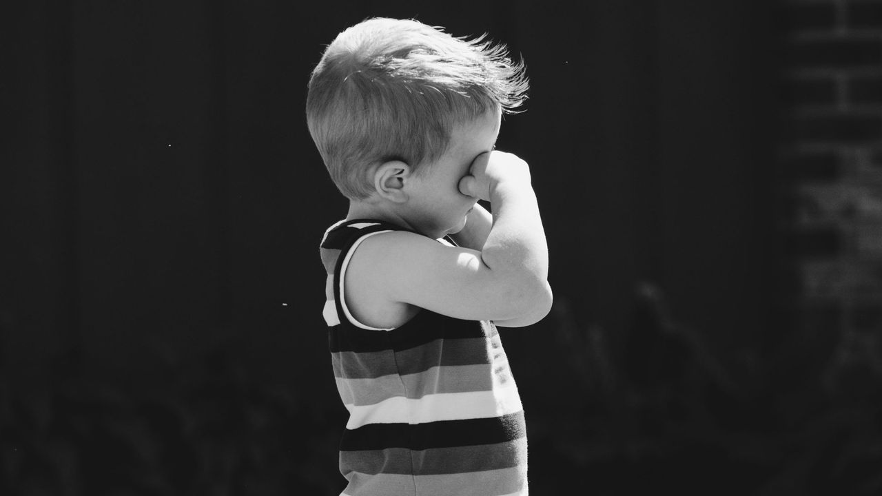 Bocah Sepulang Sekolah di Cianjur Dikeroyok Anjing Liar hingga Luka Parah, Tragis