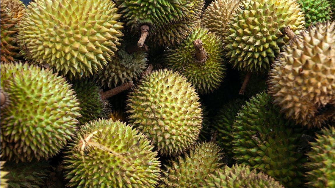 Batas Aman Konsumsi Durian dan Manfaatnya