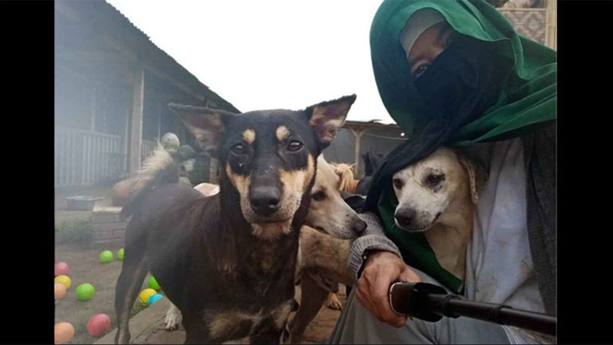 Pelihara 73 Anjing, Perempuan Bercadar Ini Bikin Warga Ciampea Bogor Marah-Marah