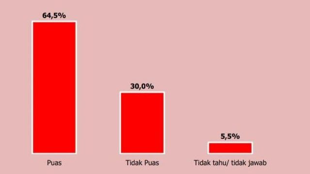 Survei: Tingkat Kepuasan ke Jokowi Naik Saat Pandemi COVID-19 Reda