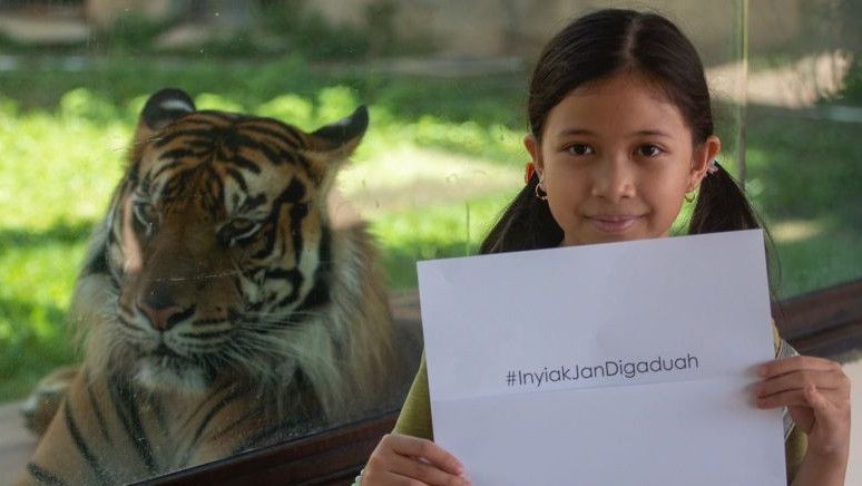 Yayasan Sebut Hari Harimau Sedunia Momentum Kesadaran Jaga Habitat Harimau, Agar Ekosistem Seimbang