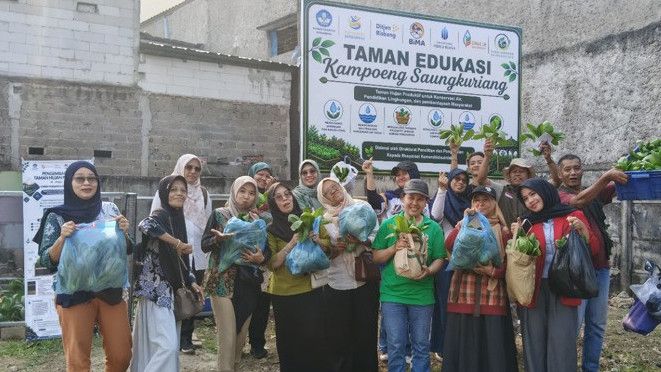 Mengenal Taman Hujan Produktif: Solusi Atasi Limpasan Air Sekaligus Ruang Budidaya Sayur