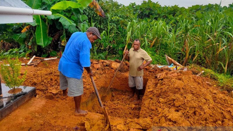 Kehujanan dan Kuburkan Banyak Korban Covid-19, Penggali Kubur di Papua Kelelahan
