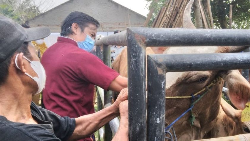 Jadi Wilayah Tertinggi Kasus PMK, Kabupaten Tangerang Terima Ratusan Vaksin