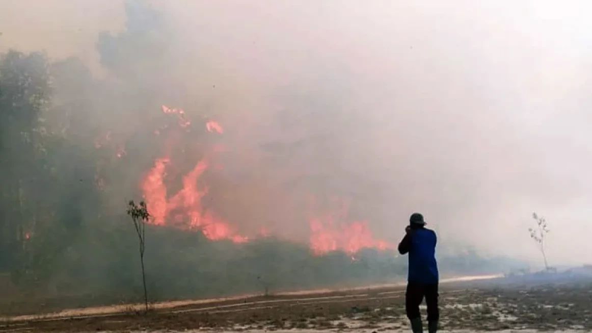 BNPB: Asap Kebakaran Hutan RI Tak Ganggu Negara Tetangga