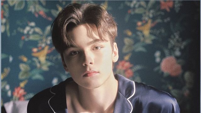 Vernon SEVENTEEN Positif COVID-19 Saat Remix 'Beg for You' Dirilis, Bagaimana Kondisi Anggota Grup Lainnya?