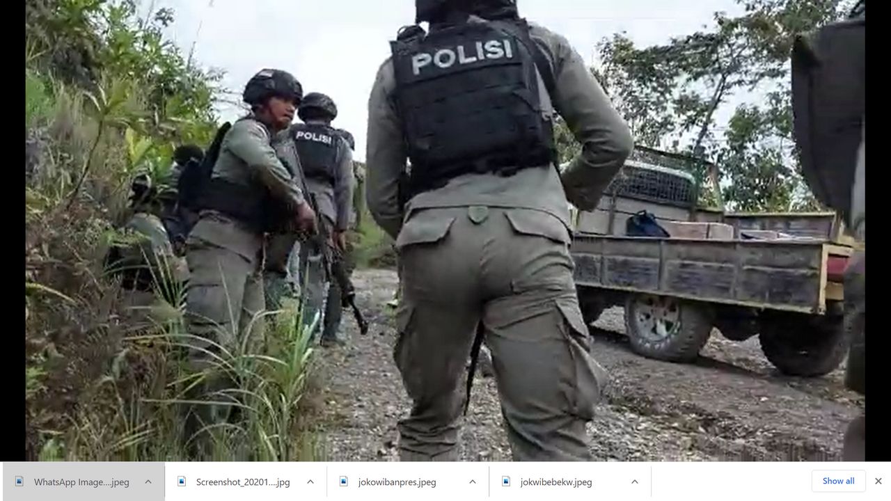 Rombongan TGPF Hitadipa Diserang KKB Papua, Dua Orang Luka Tembak