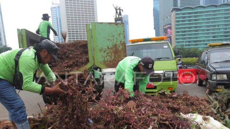 Tanaman di Bunderan HI Rusak Akibat Terinjak-injak Warga Saat Tahun Baru, Dinas DLH DKI: Sedang Diperbaiki