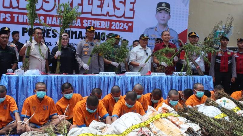 Polisi Tetapkan Satu Orang DPO Kasus Ladang Ganja di Lereng Semeru, Ini Perannya