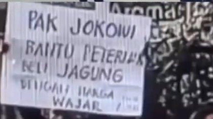 Sempat Ditangkap, Kini Suroto Ungkap Kerja Kementan di Depan Jokowi: Mereka Tak Bisa Beri Solusi