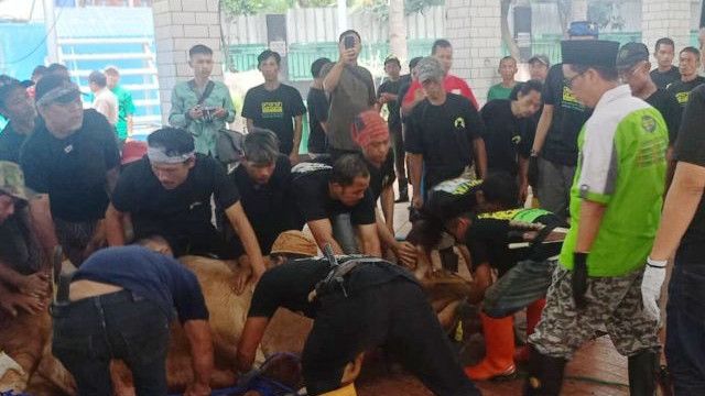 Masjid Istiqlal Salurkan 25 Ribu Daging Hewan Kurban untuk Warga Jabodetabek