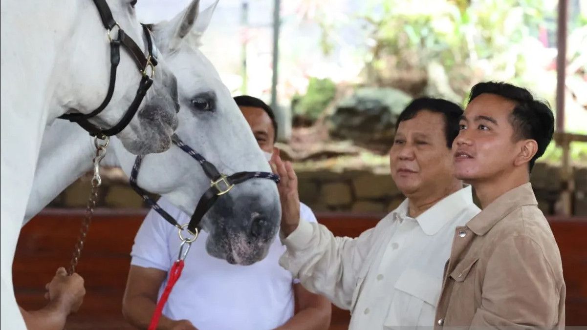 Gerindra Sebut Gibran Representasi Kaum Pemuda Ideal Pendamping Prabowo