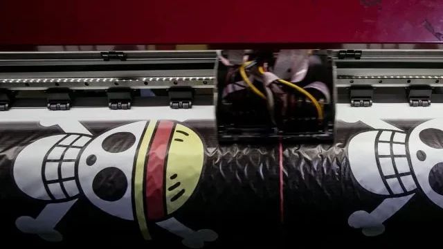 Ditentang Banyak Pihak, Prabowo Justru Kasih Lampu Hijau Pengibaran Bendera One Piece