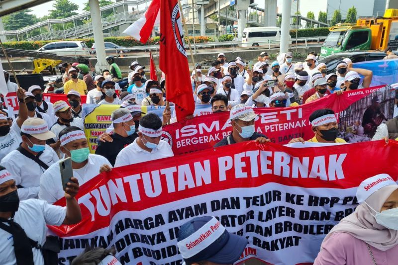 Harga Telor Anjlok, Peternak dan Mahasiswa Gelar Aksi Damai, Ini Titiknya