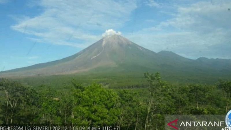 Update Aktivitas Gunung Semeru Terkini: Masih Didominasi Gempa Guguran dan Erupsi