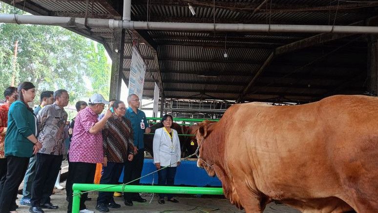 Pramono Sebut Hewan Kurban yang Disembelih di Jakarta Capai 69 Ribu Ekor