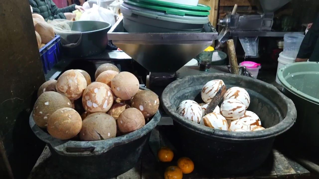 Harga Kelapa dan Santan di Bandung Naik Dua Kali Lipat Lebih Imbas Ekspor