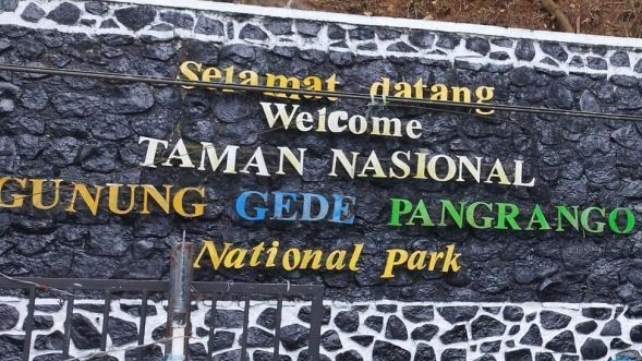 Jalur Pendakian Gunung Gede Pangrango Ditutup hingga Maret 2025, Ada Sanksi Tegas Bila Nekat