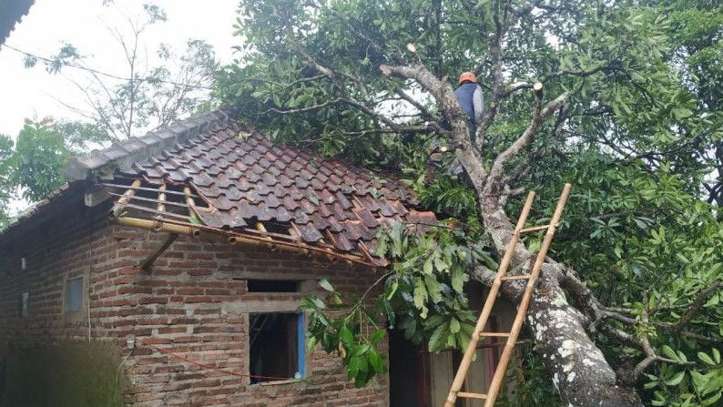 Kabar Duka dari Tasikmalaya: 8 Rumah Rusak Diterjang Angin Kencang dan Pohon Tumbang