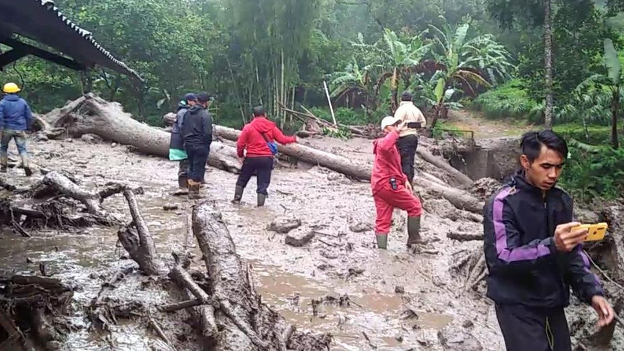 Puncak Bogor Dilanda Banjir Bandang, Begini Penjelasan Pakar Silvikultur IPB