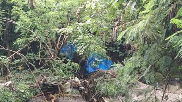 Sedih, Molly Gajah Sumatera di Bali Tewas Saat Bermain Air Sungai