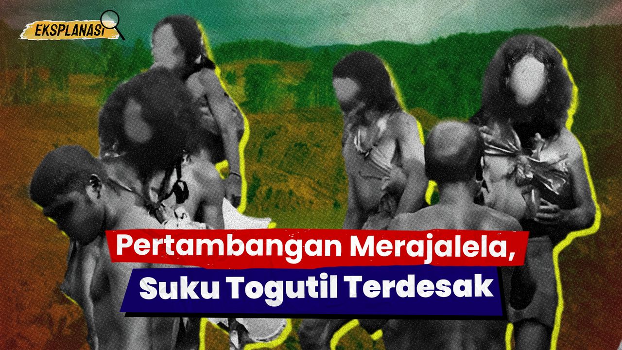 Mengenal Suku Togutil yang Sambangi Pertambangan di Maluku Utara