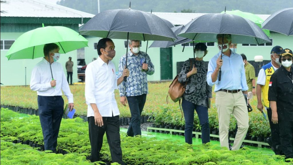 Atasi Perubahan Iklim, Jokowi akan Paksa Perusahaan Sawit Bangun Pusat Persemaian