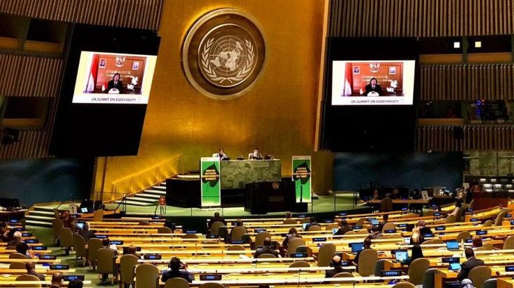Menteri LHK Siti Nurbaya Paparkan Pendekatan Harmoni Lingkungan Indonesia di PBB