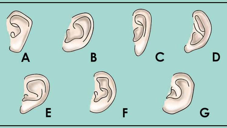 Tes Kepribadian: Seperti Apa Bentuk Telingamu? Pilihanmu Ungkap Karaktermu Sesungguhnya