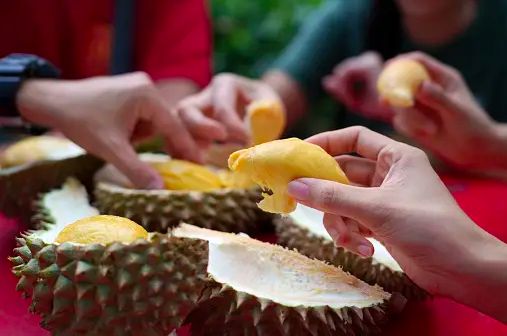 Buah Durian Mengandung Kolesterol Tinggi, Mitos atau Fakta?