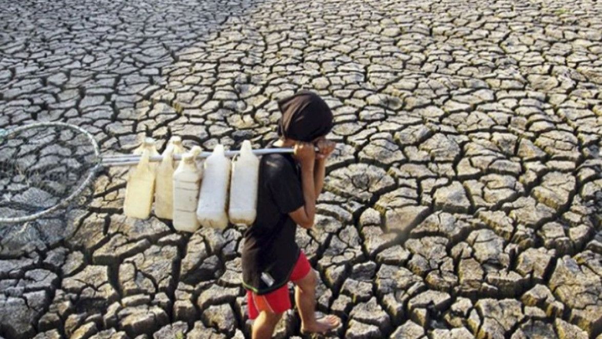 BMKG Sebut 63 Persen Wilayah Indonesia Terdampak El Nino
