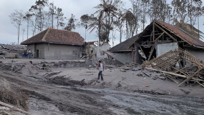 Nasib Pilu Warga Dusun Curah Kobokan Korban Erupsi Gunung Semeru, Bantuan Sulit Disalurkan Karena Akses Terputus