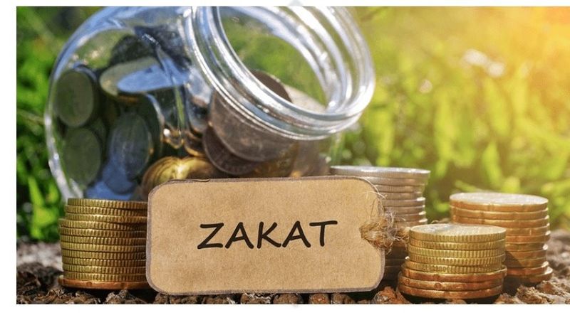 Perbedaan Zakat Fitrah Dan Zakat Mal Dalam Islam Yang Harus Diketahui ...