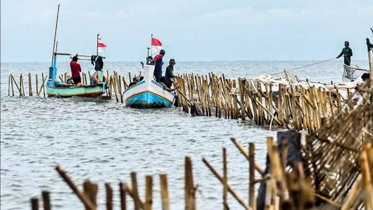 Kuasa Hukum Tak Tahu Kades Kohod Kabur ke Mana Buntut Heboh Pagar Laut, Aneh