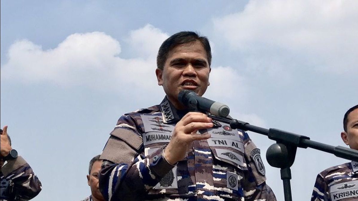 Perseteruan Anggota TNI AL dan Brimob di Papua Berakhir Damai, KSAL Ingatan Sinergitas antar Instansi
