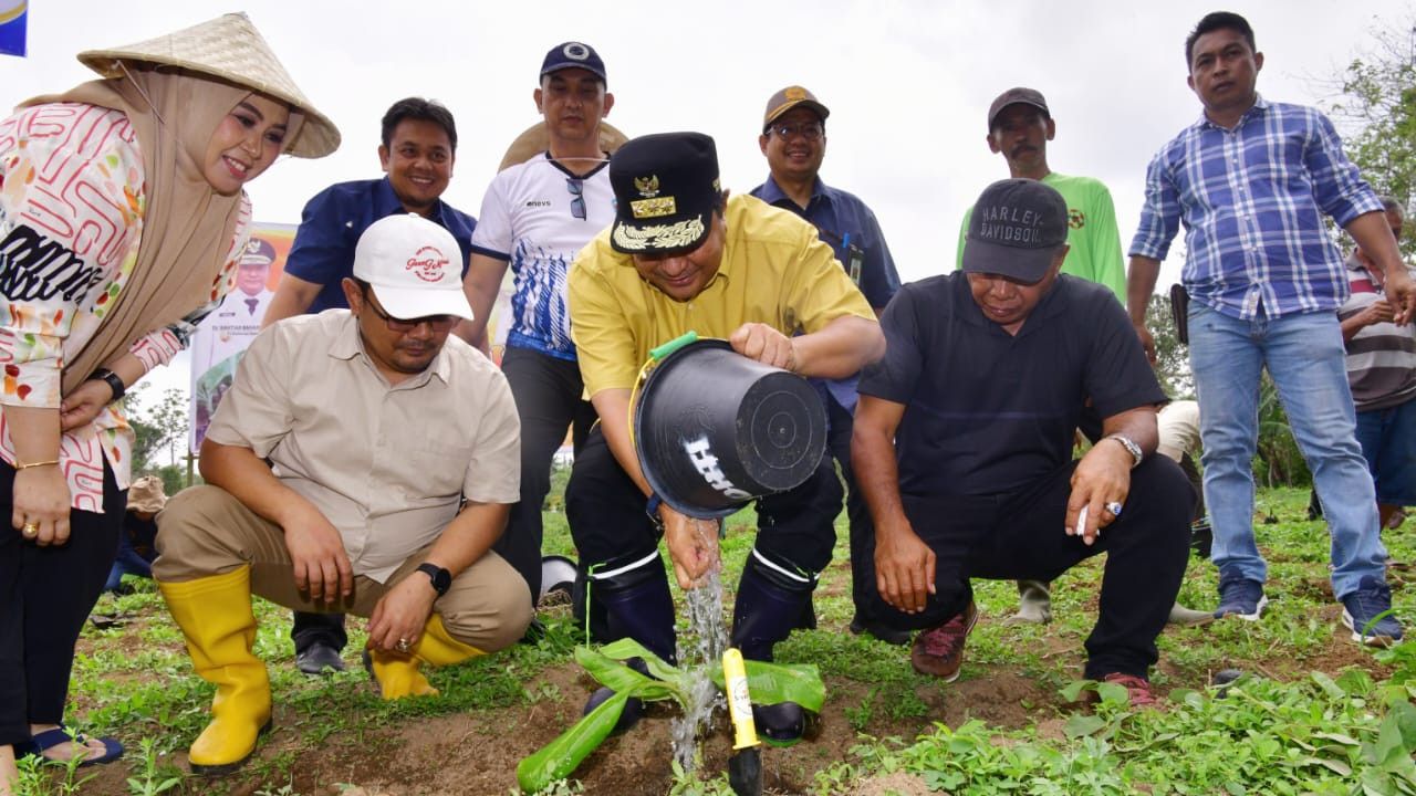 Petani di Bantaeng Berharap Banyak dengan Pisang Cavendish Andalan Pj Gubernur Sulsel