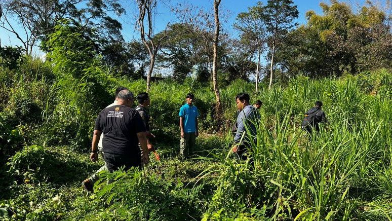 Pegawai Bali Safari Diseruduk Gajah hingga Tewas, Ini Kronologinya