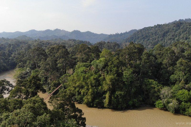 AMAN Bengkulu Desak Pemerintah Tetapkan Ratusan Hektare Hutan Adat
