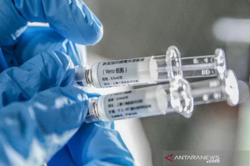 Pengembangan Bibit Vaksin Merah Putih Sudah Capai 50 Persen