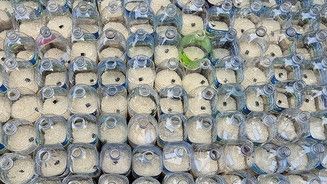 Nekat Kirim Seribu Botol Isi Beras hingga Dolar ke Korea Utara, Enam Warga AS Ditangkap Polisi