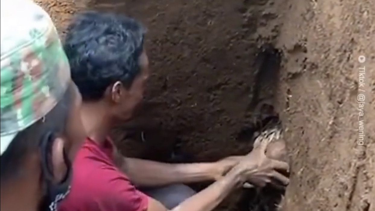 Merinding! Petugas Penggali Kubur Temukan Kepala Mayat Saat Gali Makam Baru, Netizen: Serem Banget!