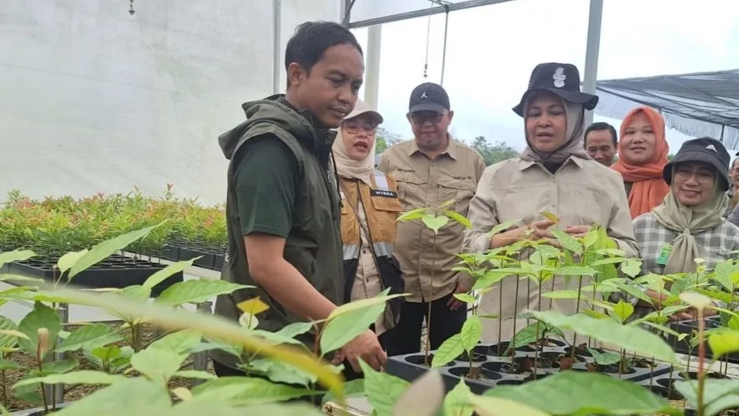 Menhut Klaim Telah Hutankan Kembali 1.800 Hektare Lahan IKN