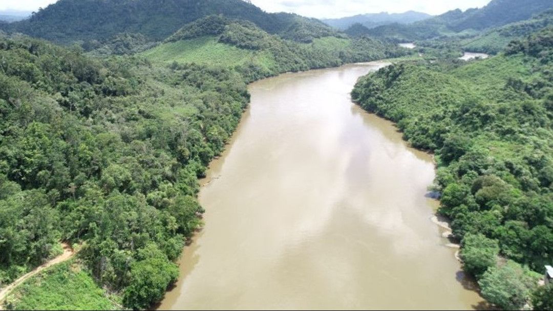 PT Kayan Hydro Energi Rehabilitasi Ratusan Hektare Lahan Kritis di Daerah Aliran Sungai Kayan
